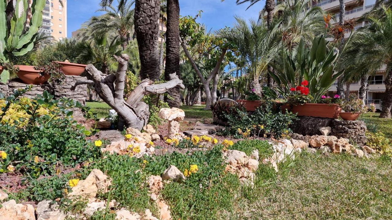 Apartament Palm Beach-El Palmeral Torrevieja Exterior foto